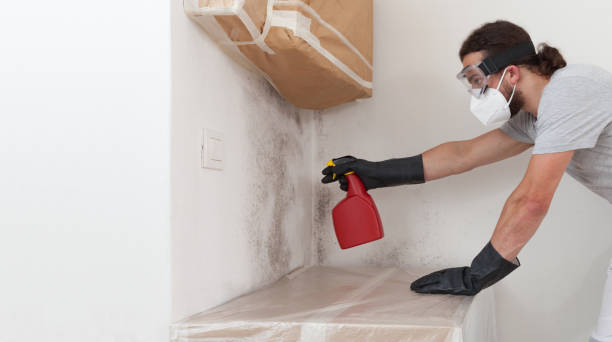 Professional Mold Testing technician working in Beaverton, MI