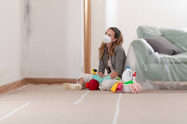 Reliable Mold Testing contractor in Beaverton, MI by WQB Mold Removal